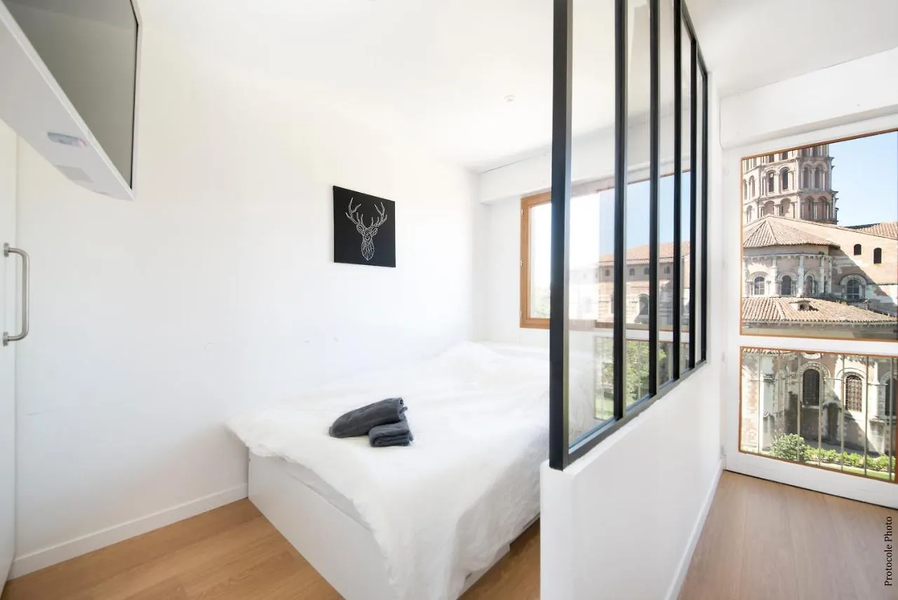 Loft Vue Unique Sur Saint Sernin Apartment Toulouse France