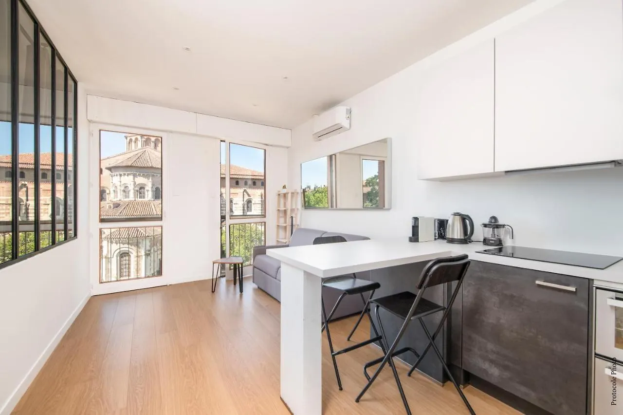 Loft Vue Unique Sur Saint Sernin Apartment Toulouse 0*,  France